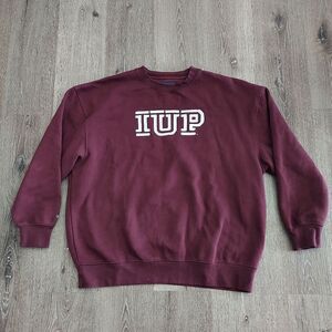 1990s/2000s Jansport Indiana University of Pennsylvania Sweatshirt Size XXL